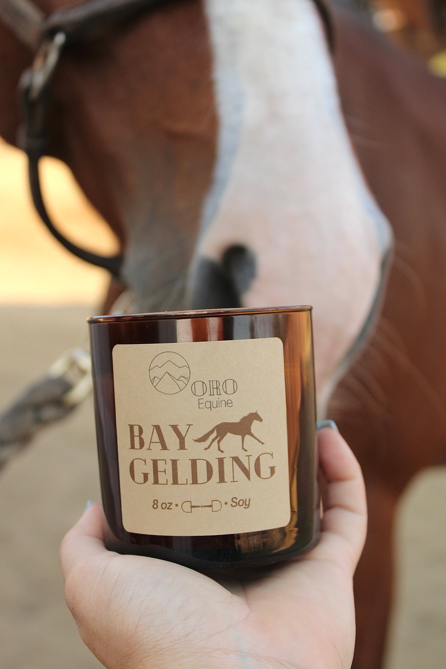 Bay Gelding soy candle