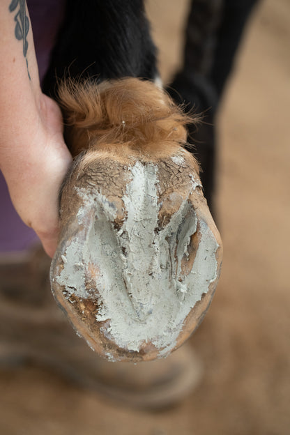 Hoof Rescue antimicrobial hoof clay