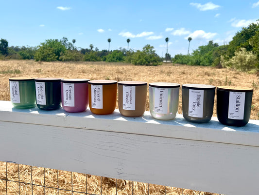 Bay Gelding 10oz candle